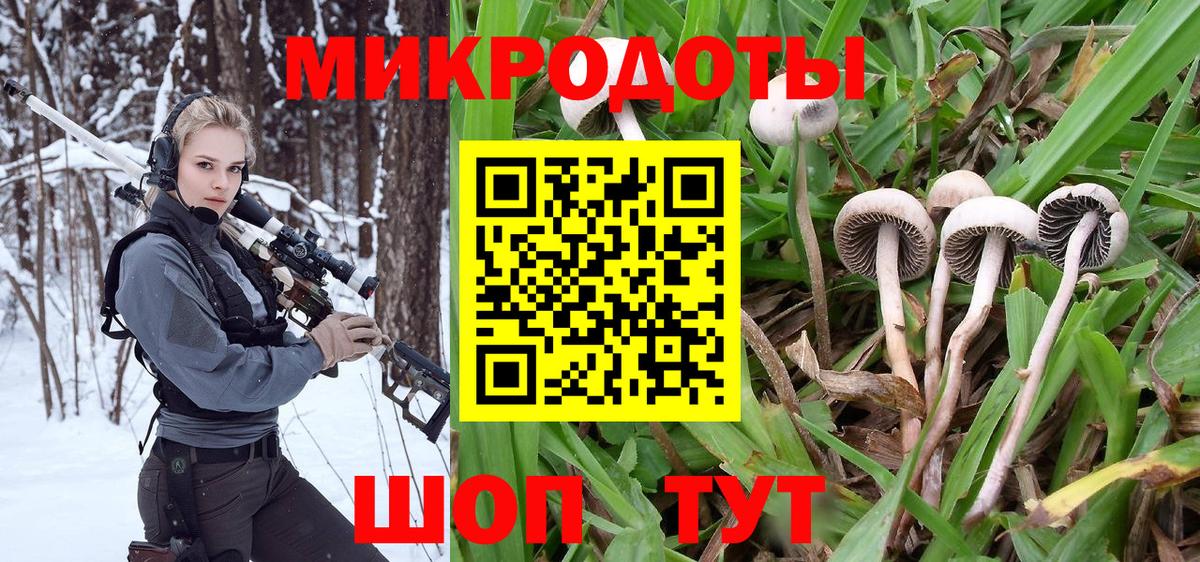 Галлюциногенные грибы MAGIC MUSHROOMS  Вход с VPN  Туймазы  Галлюциногенные грибы Psilocybe 